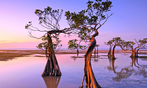 1. Đảo Sumba, Indonesia: Theo CNN, đảo Sumba là địa điểm lý tưởng khi đi du lịch năm 2024. Đến đây, du khách sẽ được trải nghiệm lướt sóng, các nghi lễ thời cổ xưa và thăm những ngôi làng xa xôi với những khu rừng hoang sơ. (Nguồn ảnh: CNN)