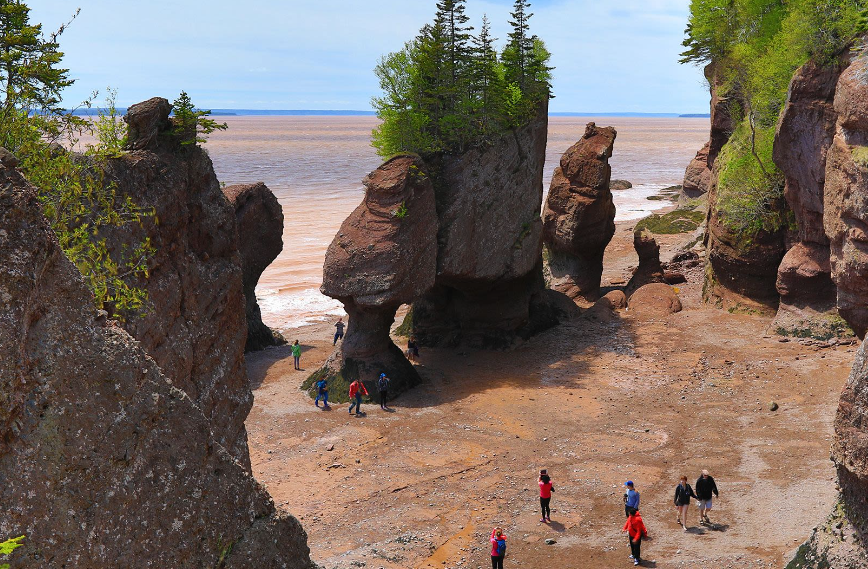 Khách du lịch đi bộ giữa những tảng đá Hopewell khi thủy triều xuống dọc theo Vịnh Fundy.