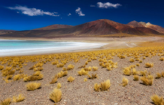 10. Chile: Sa mạc Atacama là một trong những cảnh quan độc đáo mà du khách sẽ được chứng kiến ở Chile.