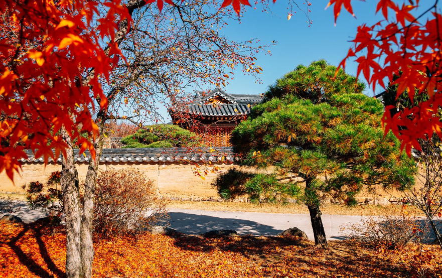 8. Hàn Quốc: Sau khi khám phá các thành phố tương lai như Seoul và Busan, du khách có thể tìm hiểu khía cạnh văn hóa và lịch sử của Hàn Quốc ở Andong, nơi được mệnh danh là "Tinh thần của Hàn Quốc".