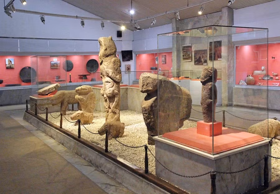 Thêm vào đó, Gobekli Tepe có thể được xây dựng trước khi con người biết thuần hóa động vật hoặc trồng cây. Một nghiên cứu về xương động vật được tìm thấy tại khu vực này cho thấy nhiều loài hoang dã, bao gồm lợn rừng, cừu, kền kền và vịt, từng sinh sống trong khu vực.