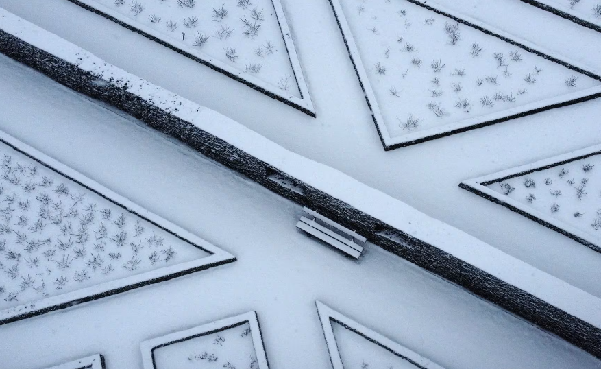 Tuyết phủ trắng trong khu vườn ở Sint-Pieters-Leeuw, gần Brussels, Bỉ, ngày 17/1.