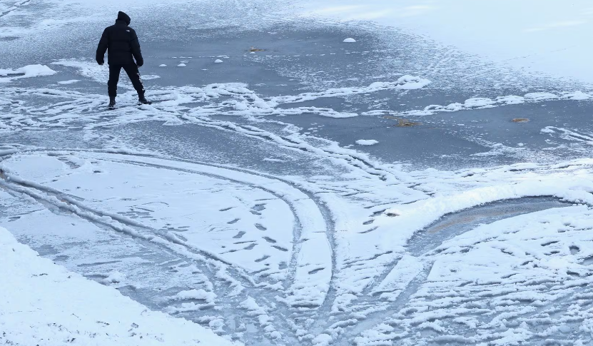 Công viên phủ đầy tuyết ở Brussels, Bỉ, ngày 19/1.