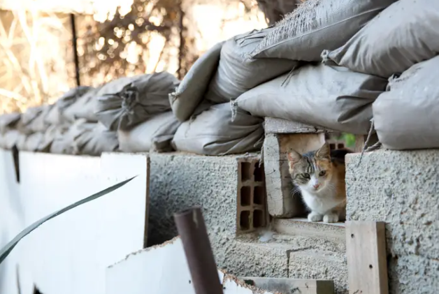 Bên trong Nicosia, những bức tường kiên cố được xây dựng khắp thành phố.