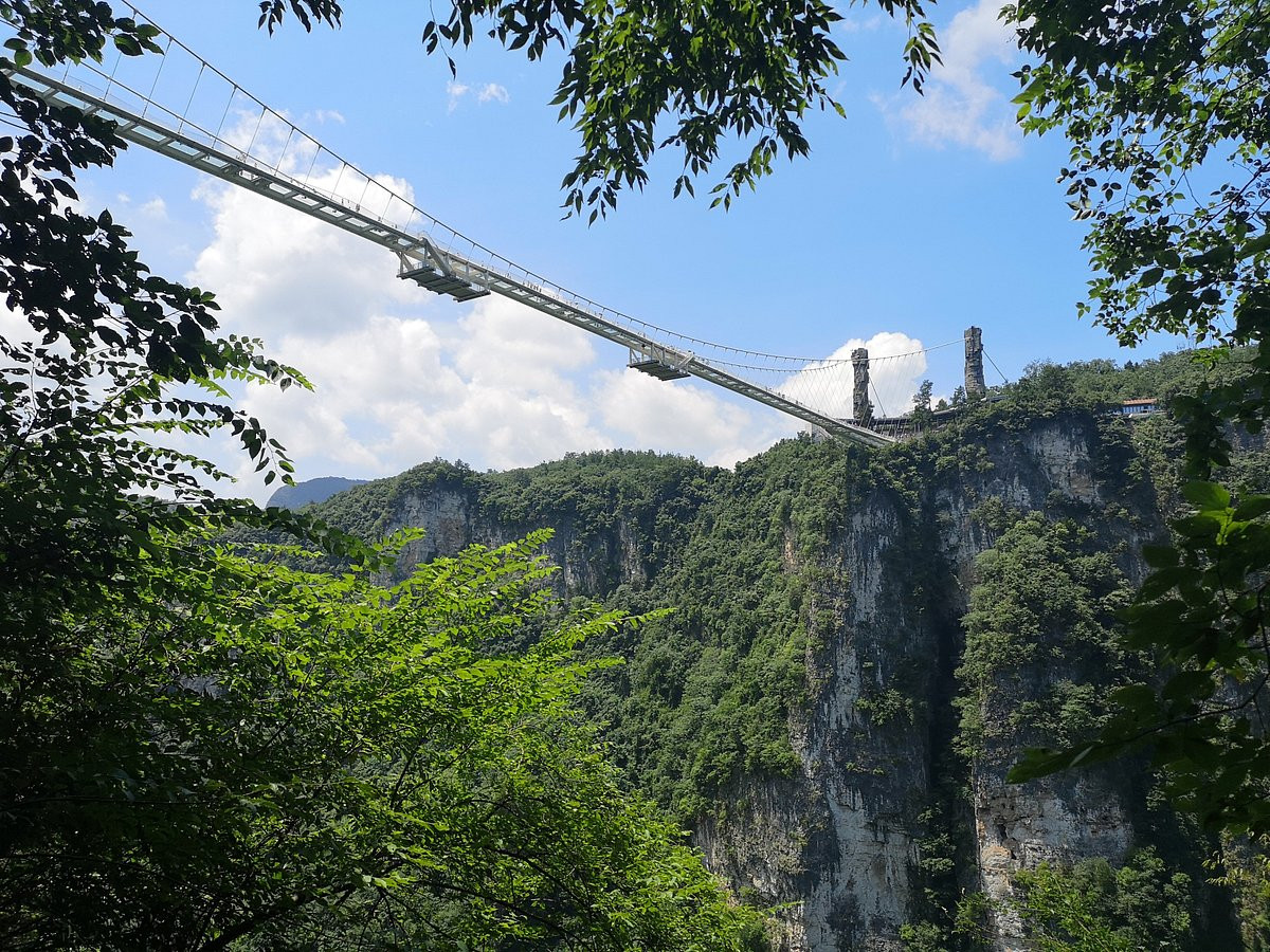 Đi bộ trên kính trong suốt và ngắm nhìn toàn cảnh hẻm núi lớn Trương Gia Giới tuyệt đẹp.