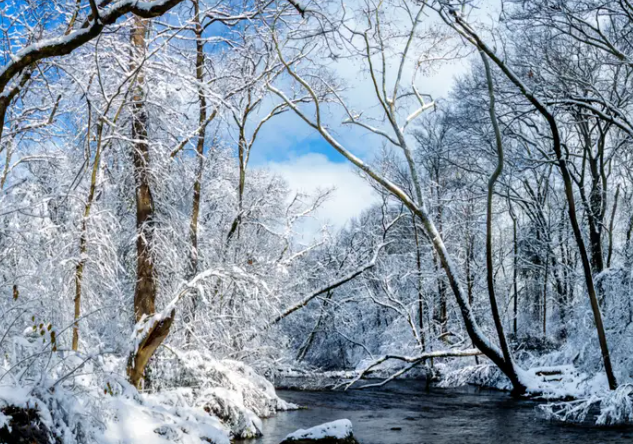 Nhiệt độ thấp nhất từng được ghi nhận tại bang Tennessee là -35 độ C, đo được tại Mountain City vào ngày 30/12/1917.