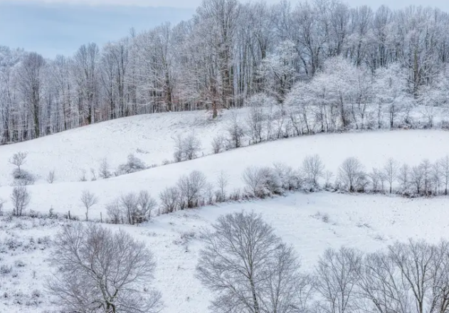 Nhiệt độ thấp nhất được ghi nhận ở bang Tây Virginia là -38 độ C, đo được tại Lewisburg vào ngày 30/12/1917.