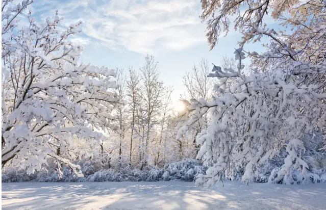 Mức nhiệt thấp nhất được ghi nhận tại Milligan, bang Ohio, là -39 độ C vào ngày 10/2/1899.