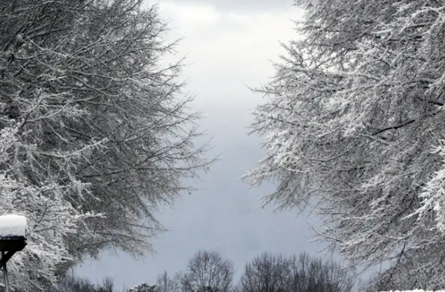 Bang Nam Carolina có mức nhiệt thấp kỷ lục là -28 độ C đo được tại Caesar's Head vào ngày 21/1/1985.