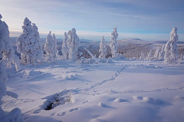 Có những nơi tại Yakutia tuyết thậm chí không tan vào mùa hè.