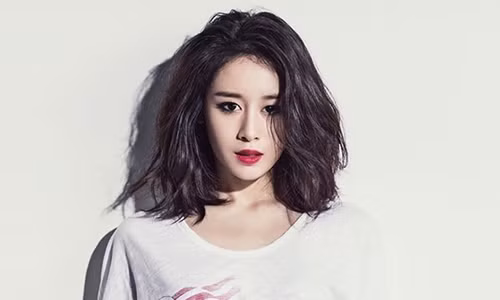 3 con giap co buoc dot pha lon trong su nghiep nam 2017