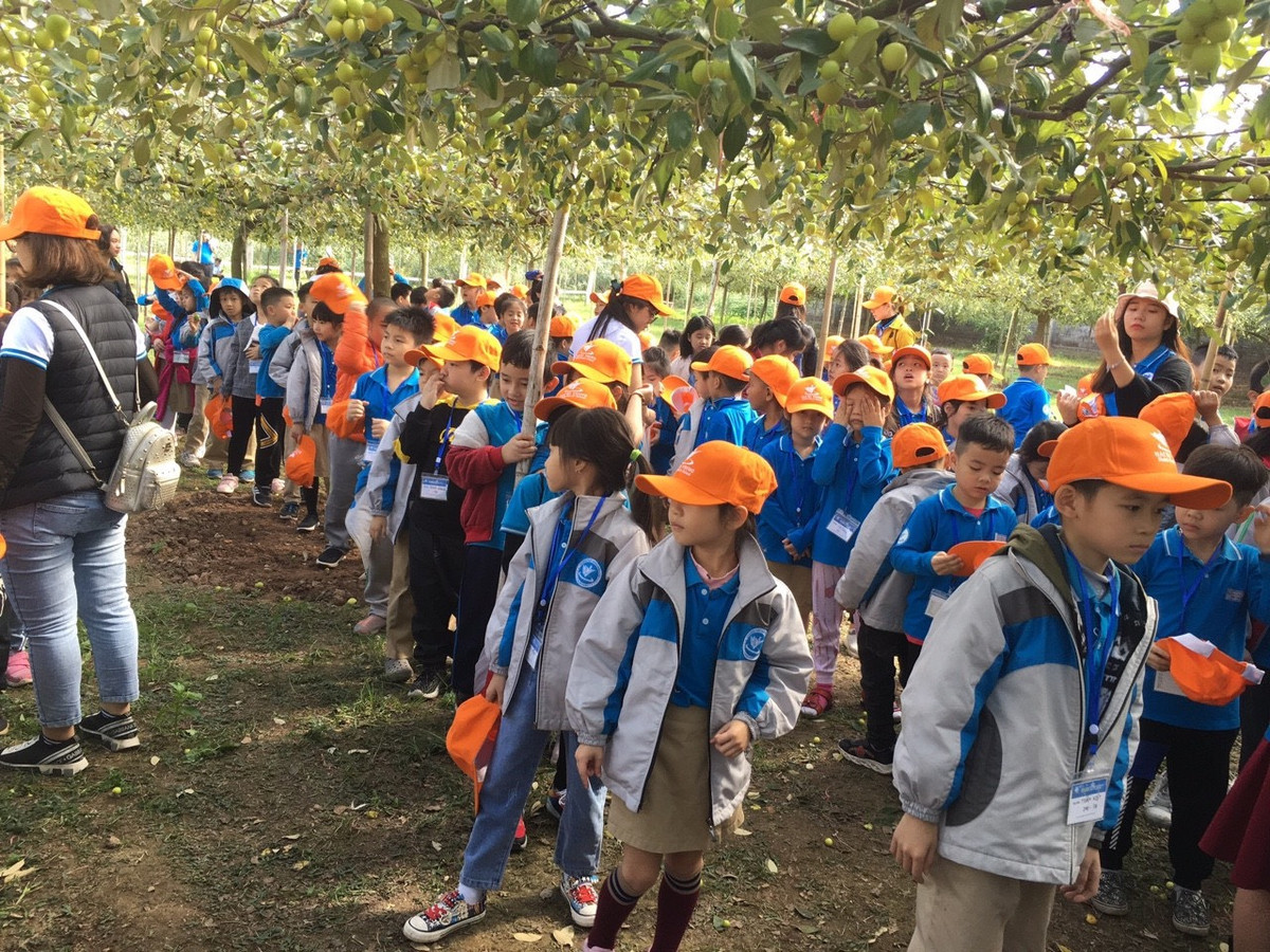 Tran tro phat trien thuong hieu tao muoi Bang La gan voi du lich nong nghiep, nong thon-Hinh-6