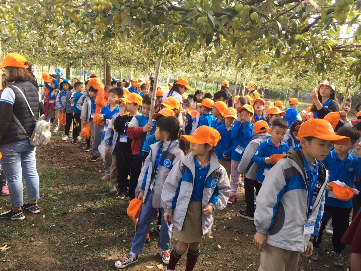 Tran tro phat trien thuong hieu tao muoi Bang La gan voi du lich nong nghiep, nong thon-Hinh-6