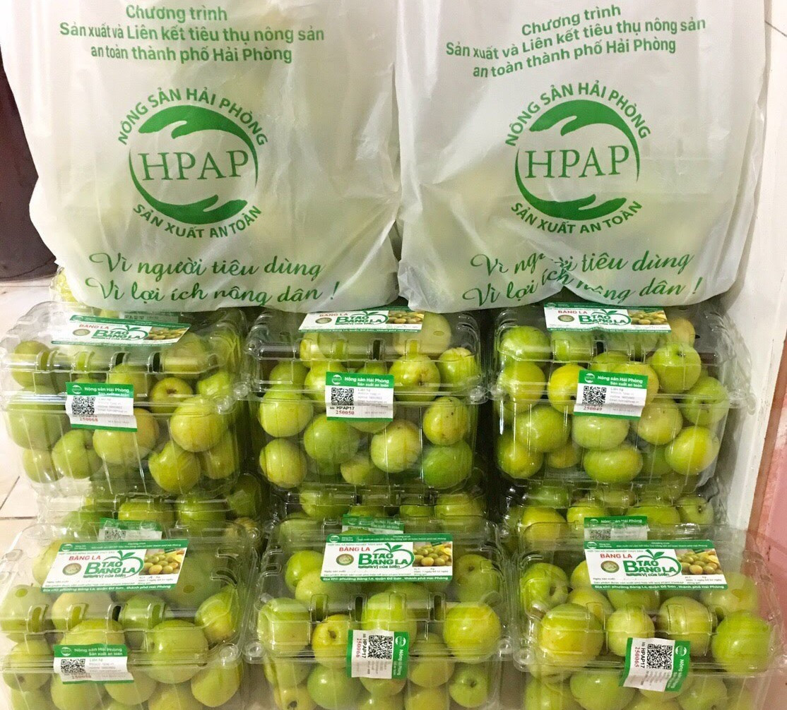 Tran tro phat trien thuong hieu tao muoi Bang La gan voi du lich nong nghiep, nong thon-Hinh-8