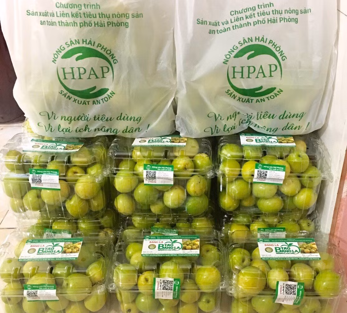 Tran tro phat trien thuong hieu tao muoi Bang La gan voi du lich nong nghiep, nong thon-Hinh-8