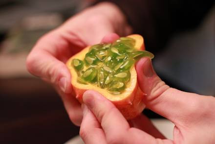 Chị Thu Hương (28 tuổi, một giáo viên trường dạy trẻ tự kỉ ở Hà Nội) cho biết: "Mình từng được một người bạn đi New Zealand mua quả dưa sừng về làm quà. Tìm hiểu mới biết quả chứa nhiều calo, trung bình khoảng44 calo mỗi 100 gram, rất bổ cho người cần cải thiện dinh dưỡng. Khi có cửa hàng bán hạt Kiwano, tôi cũng tìm mua về trồng vì giá không hề đắt".