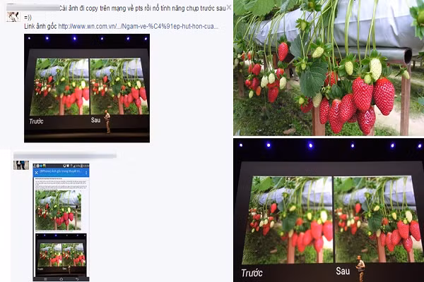 Vua ra mat, hang nong Bphone da dinh nghi van