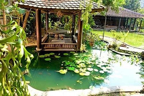 Không khí thoáng đãng với khu sân vườn rộng lớn được thiết kế cầu kỳ, độc đáo với ao nhỏ trồng hoa súng, lối đi trên thảm cỏ xanh.