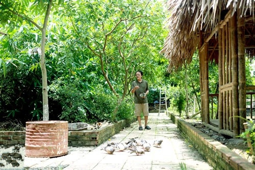 Với khu đất rộng lớn, nghệ sĩ Giang Còi đã xây dựng trang trại nuôi cá, chim bồ câu, gà Đông Tảo, lợn Mán...