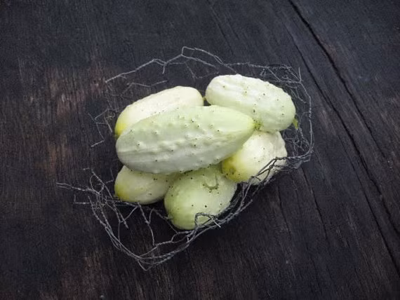 Theo các chủ cửa hàng hạt giống: Yếu tố khiến loại dưa chuột này "ghi điểm" đối với các bà nội trợ là dưa giòn, vị ngọt mát. Dưa có thể làm các món salad, nước ép... giải nhiệt tốt trong mùa hè nắng nóng.