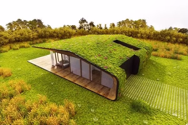 Sử dụng các loại dây leo, các loại cây thích hợp điều kiện sống khắc nghiệt, chịu ánh sáng (xương rồng, hoa đá), thiết kế khu vườn theo phong cách độc đáo và lạ, thích hợp với nhà đô thị không có nhiều diện tích làm sân vườn.