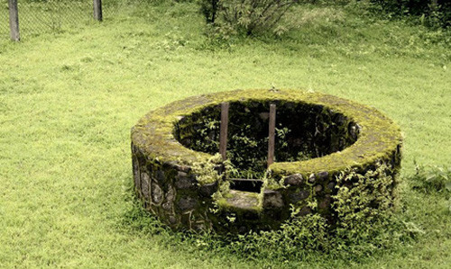 Khi thấy bà N. đi cạo mủ cao su trên rẫy một mình, hung thủ đã dùng cán dao đánh nạn nhân đến chết, sau đó hiếp dâm nạn nhân khi đã tắt thở. Để phi tang bằng chứng, hắn kéo thi thể nạn nhân băng qua vườn điều khoảng 200 m và thả xuống giếng hoang. Sau khi gây án, ngay lập tức hắn đã bị cơ quan điều tra bắt giữ, xét xử hành vi phạm tội.