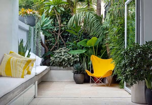 Với những nhà có vườn cây, các buổi chiều vừa tưới cây vừa giảm 1-2 độ C giúp chống nóng cho nhà.