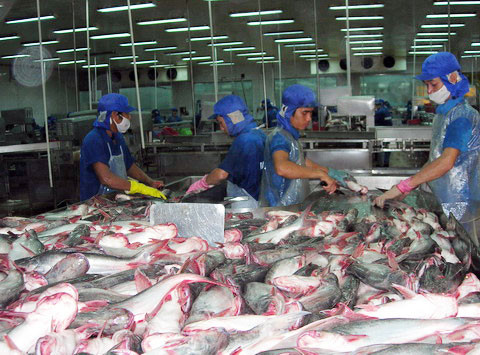 Sự nghiệp kinh doanh của bà Diệu Hiền trải qua nhiều sóng gió, biến động vô cùng lớn vào năm 2012 khi công ty Bianfishco rơi vào cảnh nợ nần, đứng trước nguy cơ phá sản. Tổ công tác của TP Cần Thơ từng công bố số tiền 1.300 tỷ đồng là nợ của công ty Bianfishco với các ngân hàng cho vay.