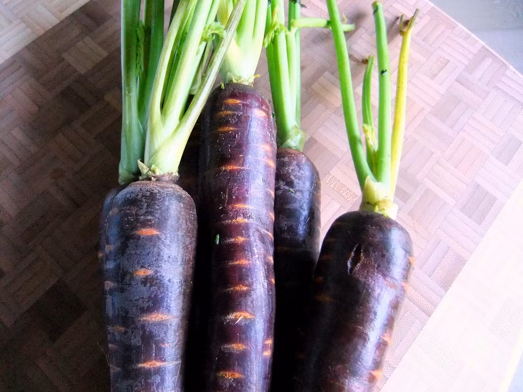 Một số khách hàng chia sẻ mua giống cà rốt tím vì biết công dụng loại củ này giúp kiểm soát da đầu ngứa, giúp tóc nhanh mọc.