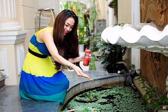 Biệt thự riêng của Minh Hằng ở quận 2, TP HCM có không gian riêng dành cho những phút giây thư giãn của cô. Căn nhà thiết kế khu tiểu cảnh nhỏ ngay gần phòng khách, với ao nuôi cá và trồng cây cảnh.