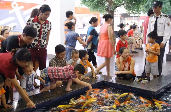 Các trung tâm thương mại như Royal City, Time City, Lotte có nhiều hoạt động như thăm thủy cung, chơi trượt băng... với mức giá 150.000 -250.000 đồng/trẻ.