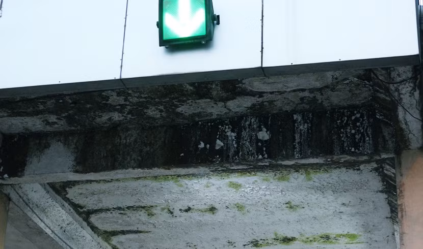 Rêu mốc bám đen xì trên các mảng tường tại trạm thu phí Bắc Thăng Long - Nội Bài.