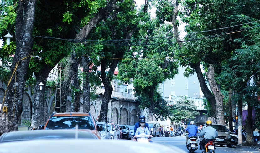 Được biết, dự án “Bích họa trên phố Phùng Hưng” là dự án nghệ thuật xây dựng trên cơ sở "đưa nghệ thuật vào không gian sống" do chương trình định cư con người của Liên Hợp Quốc phối hợp với quỹ giao lưu quốc tế Hàn Quốc và UBND quận Hoàn Kiếm triển khai từ năm 2015.