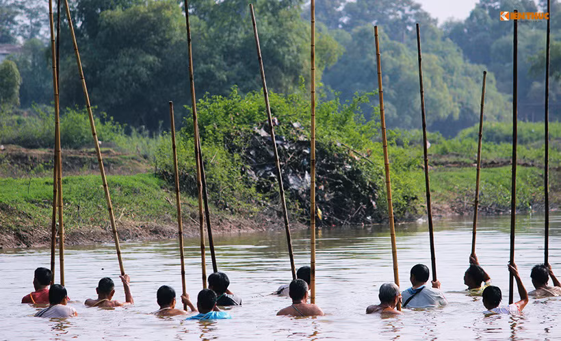 Người dân xã Lại Thương chia nhau thành các tốp, dàn hàng ngang trên sông Tích chảy qua các địa phận các xã Lại Thượng, Phú Kim, Kim Quan, Cần Kiệm (huyện Thạch Thất, Hà Nội) để dậm cá. Thỉnh thoảng họ reo hò một cách nhộn nhịp.