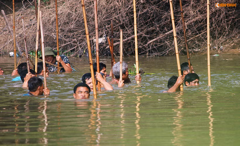Theo người dân xã Lại Thượng, mỗi lần xuống sông Tích dậm cá họ thường tập trung khoảng từ 30 đến 40 người trong xã, thậm chí là nhiều người hơn. Họ dậm cá trong khoảng thời gian từ 13h đến 17h.