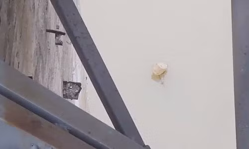 Khi nao Ha Noi tien hanh vot bom duoi cau Long Bien?-Hinh-2