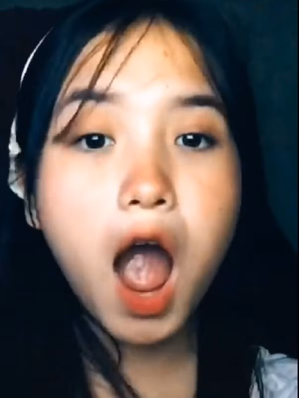 Chỉ với một đoạn clip quay cận cảnh gương mặt cùng các biểu cảm lắc lư theo nhạc đáng yêu, hình ảnh của nữ TikToker đã lập tức viral khắp mạng xã hội thời điểm đó.