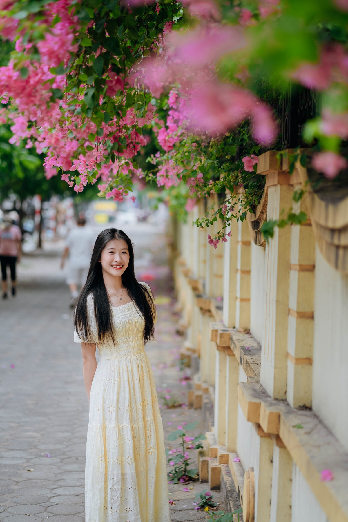 Giàn hoa giấy ở đoạn Trường Chinh giao Nguyễn Lân cũng nổi bật không kém. Ảnh: Văn Hùng