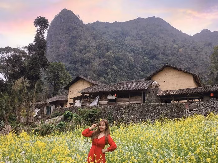 Khi đi từ Đồng Văn lên cao nguyên đá, bạn sẽ bắt gặp một bản làng với cánh đồng hoa tam giác mạch đẹp như tranh, đó là bản và xã Sủng Là. Ngoài ra, nơi đây còn có cánh đồng hoa tam giác mạch, hoa cải và thung lũng lũng hoa hồng. Ảnh @hangdo