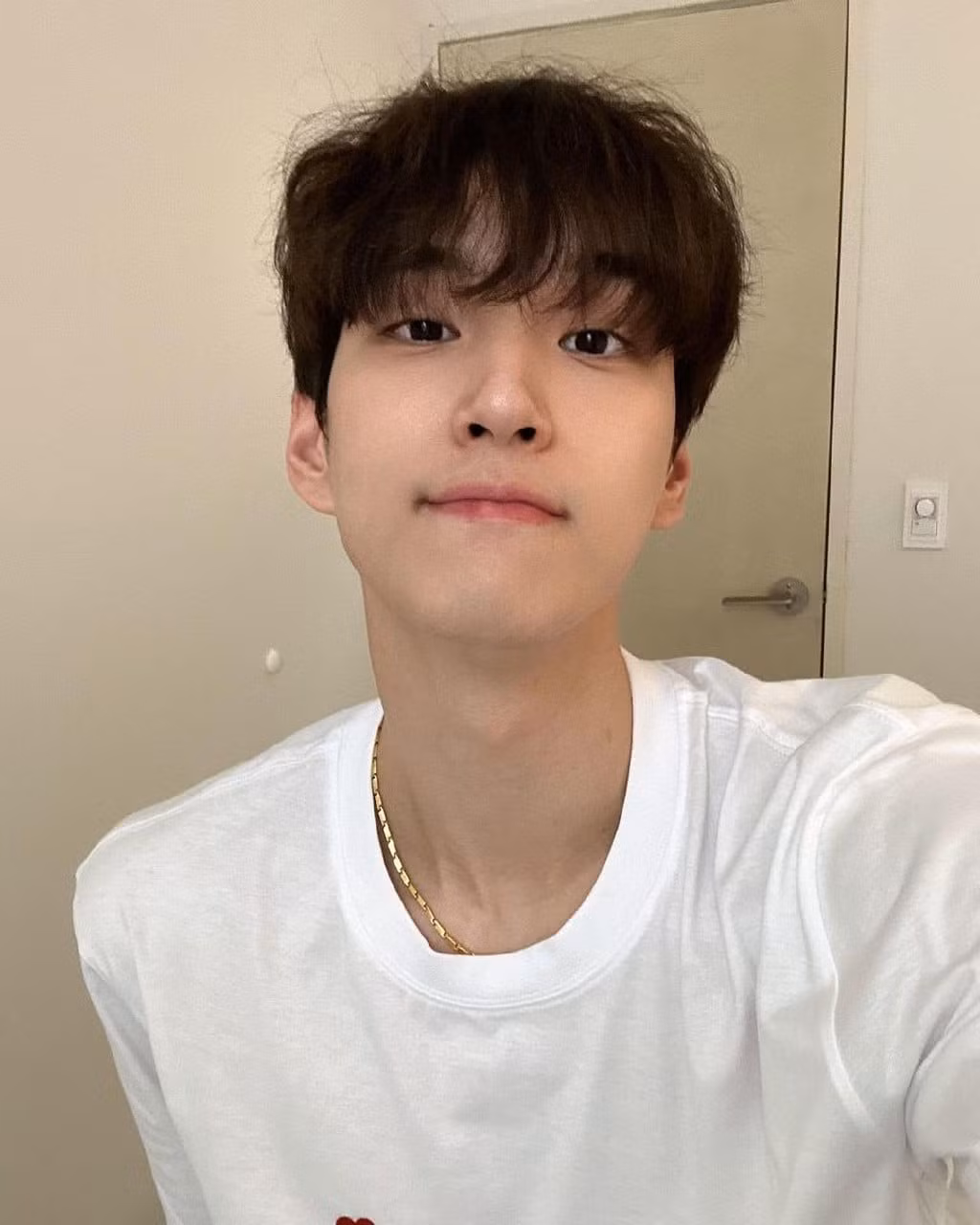 Gương mặt của anh hội tụ đủ những tiêu chuẩn mà phái nữ yêu thích ở nam giới.