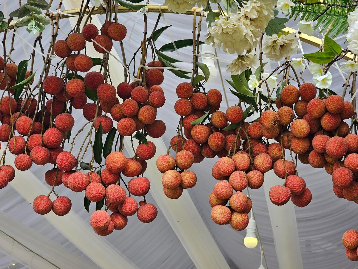 Loạt hình ảnh này sau khi chia sẻ lên MXH đã thu hút sự chú ý của cư dân mạng. Phần đông đều thích thú về sự sáng tạo của người thiết kế cổng cưới.