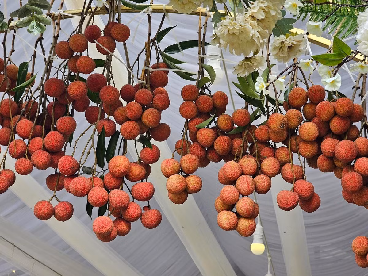 Loạt hình ảnh này sau khi chia sẻ lên MXH đã thu hút sự chú ý của cư dân mạng. Phần đông đều thích thú về sự sáng tạo của người thiết kế cổng cưới.