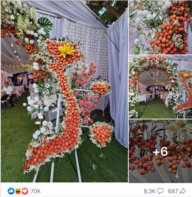 Mới đây, cư dân mạng không khỏi xuýt xoa trước đám cưới được tổ chức ở Lục Ngạn, Bắc Giang sử dụng vải thiều để thiết kế cổng cưới. Ảnh chụp màn hình