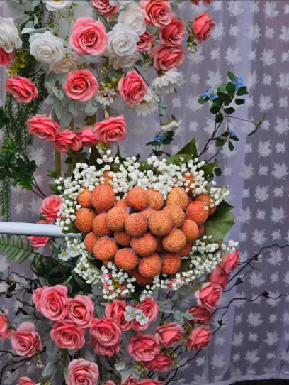 Ngoài vải trang trí cổng đám cưới, gia đình nhà gái cũng chuẩn bị những chùm vải ngon, mọng nước, để dành mọi người tráng miệng và làm quà mang về. Ảnh: Kun Mon