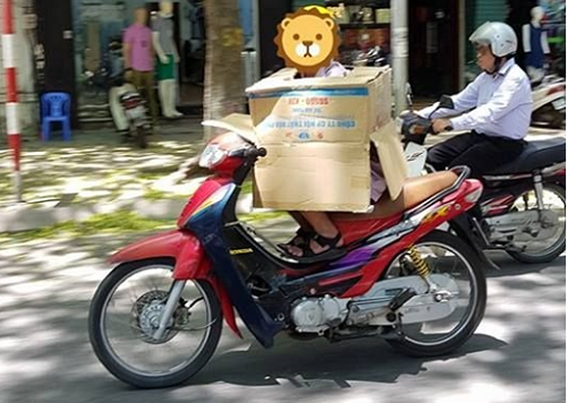 Nhiều người đã tận dụng thùng giấy để làm trang bị chống nắng nóng.