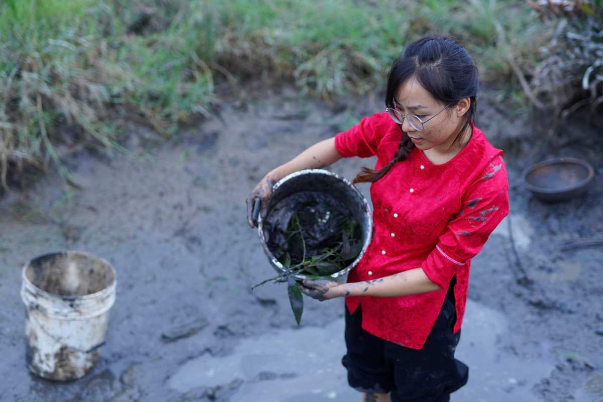 Từng khung hình cũng được cô nàng chăm chút khiến mọi thứ hiện lên thật thơ mộng, mang lại cho mỗi người xem ký ức về tuổi thơ đẹp đẽ. Ảnh: Fanpage Út về vườn