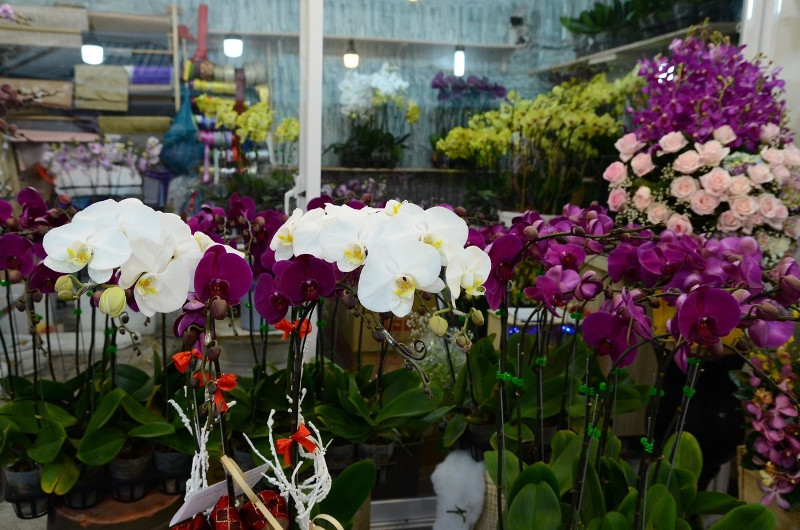 Theo ghi nhận của PV Kiến Thức, phố hoa Hồ Thị Kỷ sau khi được khoác lên áo mới, mọi người đều trở nên phấn khởi. Đường vào chợ hoa Hồ Thị Kỷ ngập tràn màu sắc.