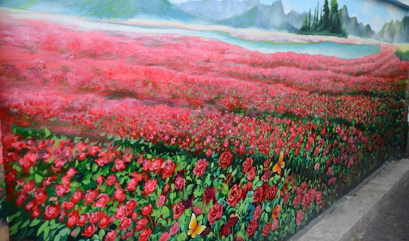 Hình ảnh đầy màu sắc tại phố chuyên doanh hoa Hồ Thị Kỷ.