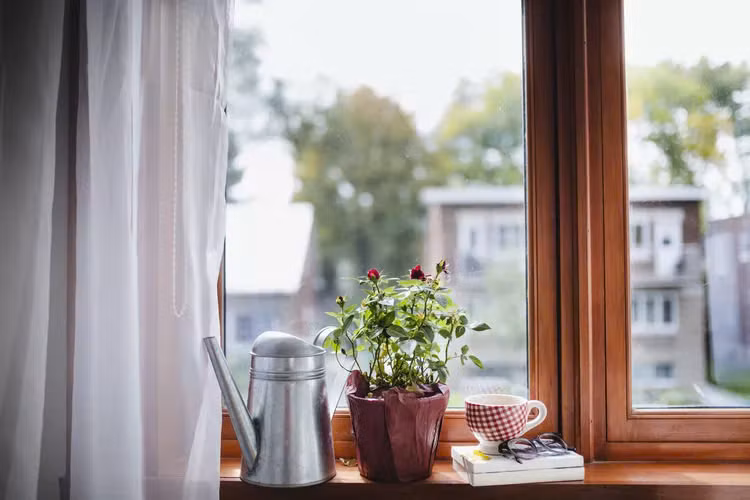 Một ngôi nhà có nhiều cửa sổ và ánh sáng mặt trời luôn mang đến cảm giác thoải mái và dễ chịu cho gia chủ, song có một số đồ vật nếu tiếp xúc với ánh sáng gián tiếp một thời gian dài có thể gây hư, hại, bong tróc... Để tránh làm hỏng đồ đạc của bạn, hãy lưu ý không đặt những món đồ gần cửa sổ: