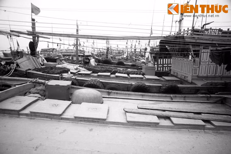 Có những chuyến tàu mất hai ngày mới chở hết đồng bào vào đất liền. Mỗi người một việc, các tổ chức, đoàn thể, cá nhân đều được giao nhiệm vụ cụ thể.